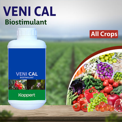 Koppert Veni Cal Biostimulant - Agriplex