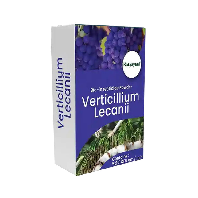 Katyayani Verticillium Lecanii | Powder Bio Insecticide