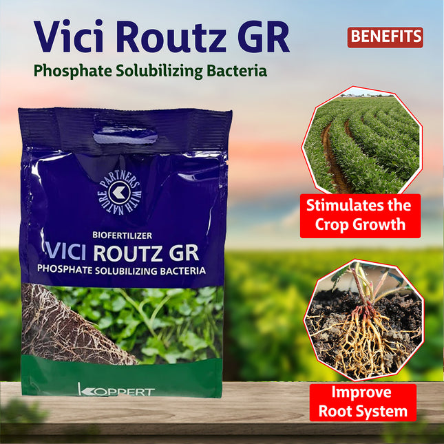 Koppert Vici Routz GR PSB Biofertilizer - Agriplex