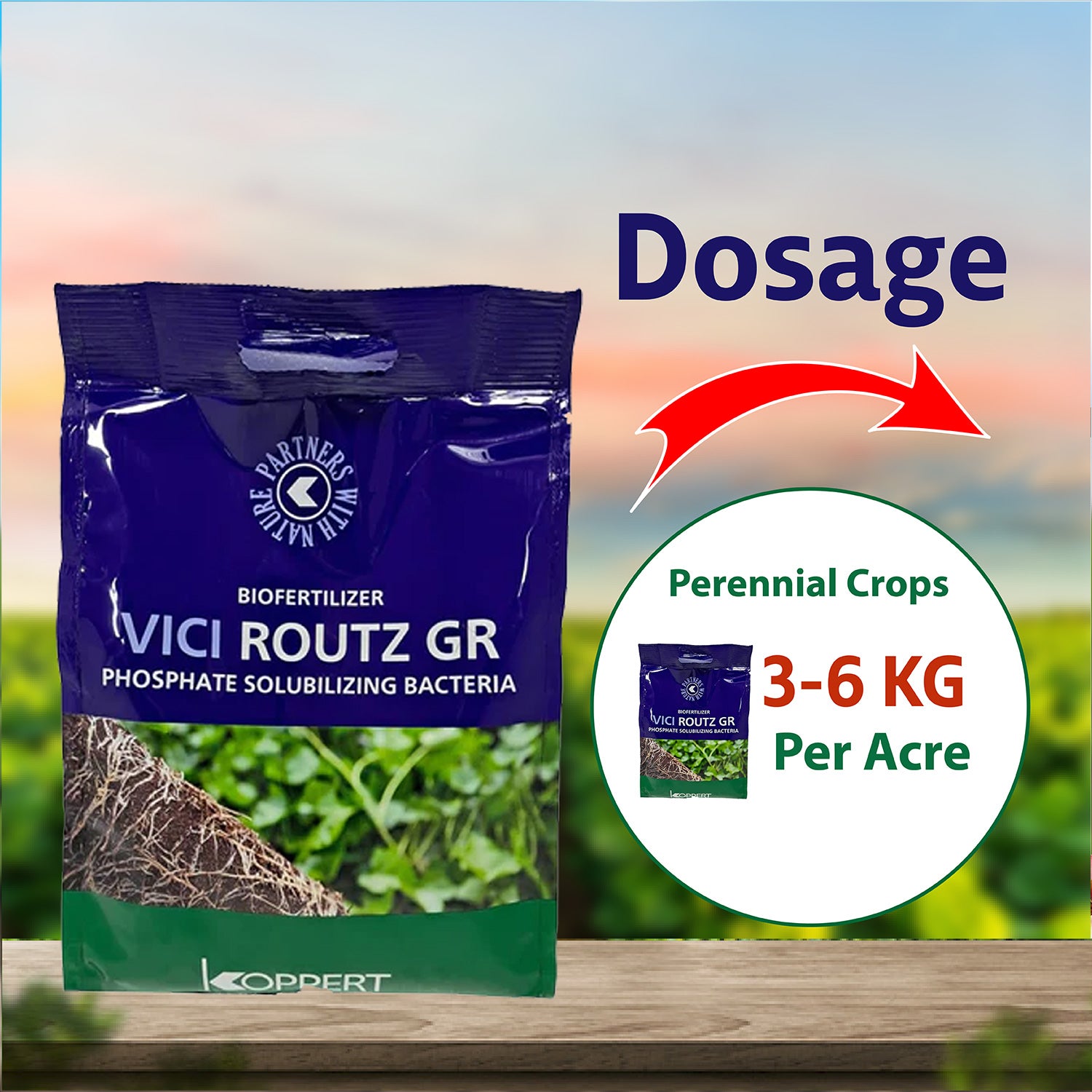 Koppert Vici Routz GR PSB Biofertilizer - Agriplex