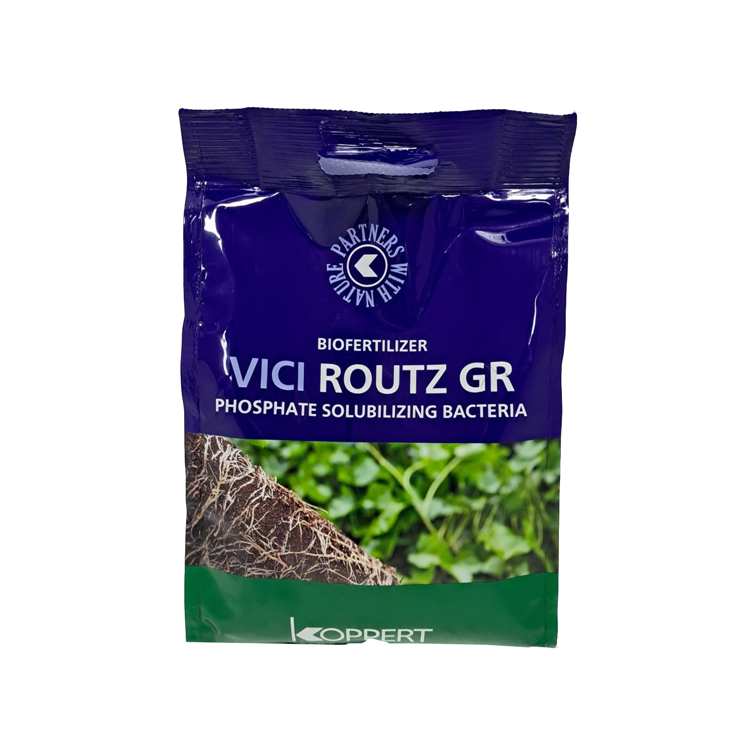 Koppert Vici Routz GR PSB Biofertilizer