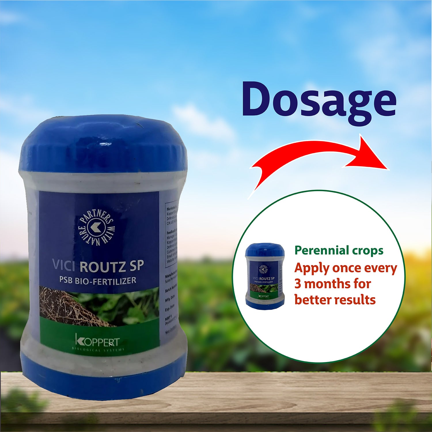 Koppert Vici Routz SP PSB Biofertilizer Powder - Agriplex