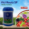 Koppert Vici Routz SP PSB Biofertilizer Powder - Agriplex