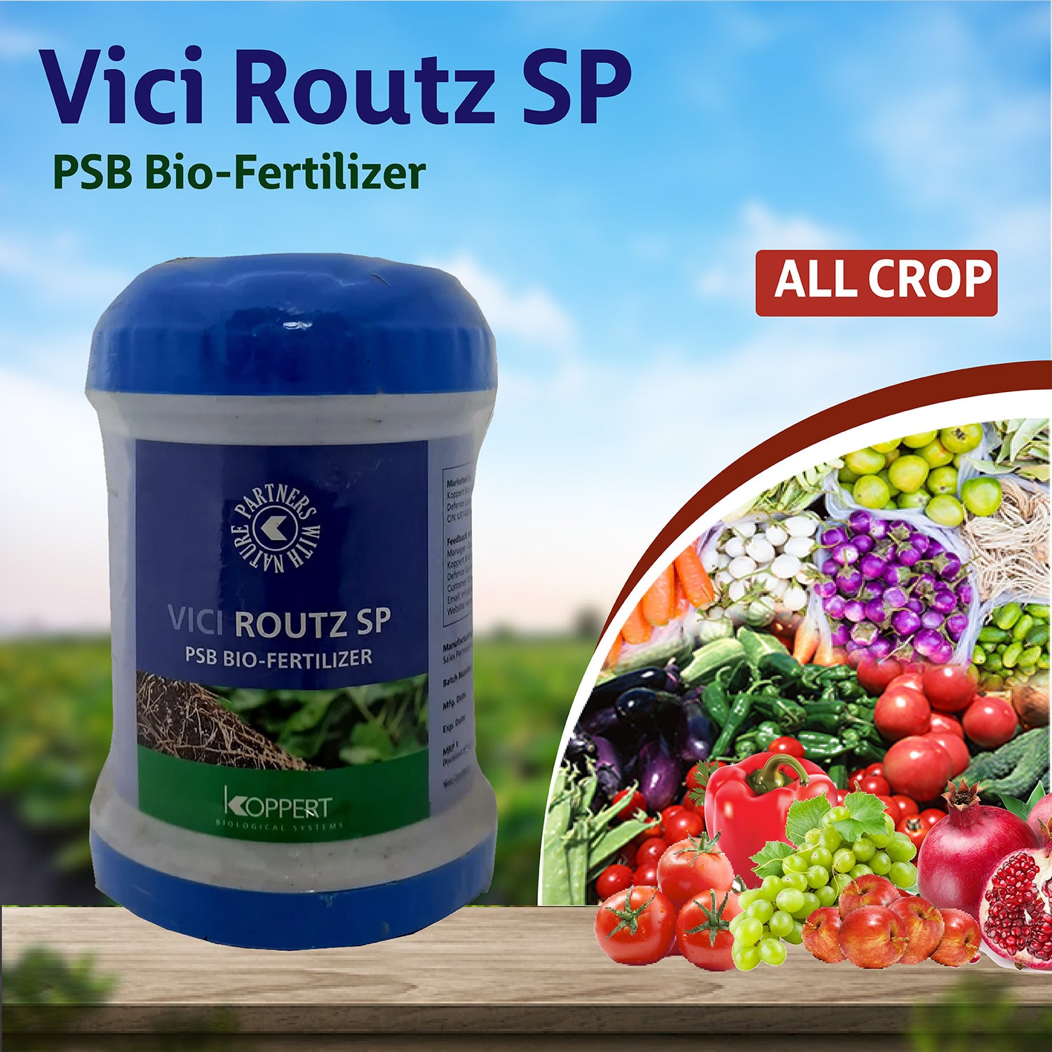 Koppert Vici Routz SP PSB Biofertilizer Powder - Agriplex