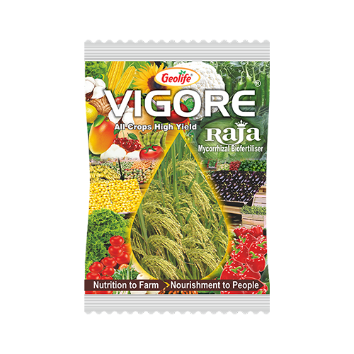 Geolife Vigore Raja