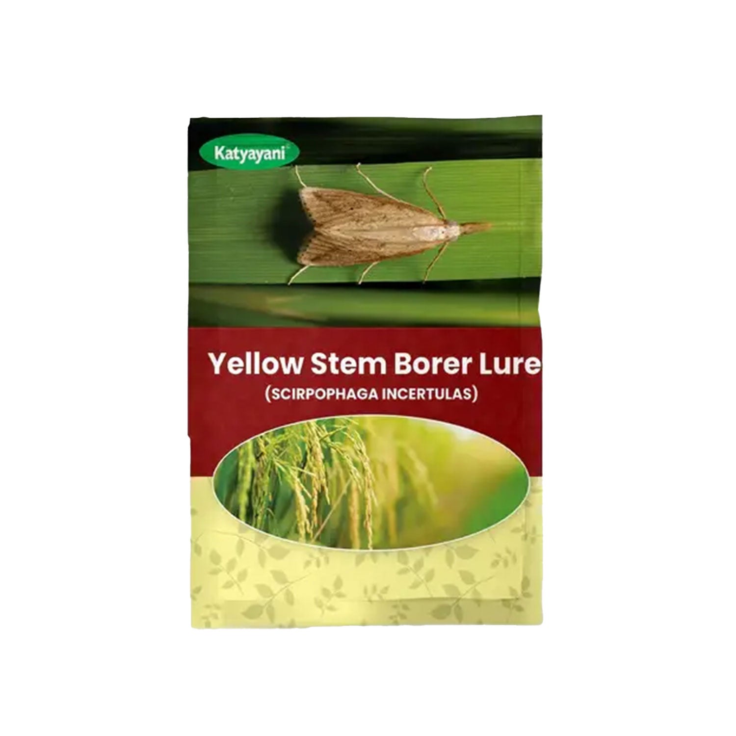 Katyayani Yellow Stem Borer Lure (Scirpophaga Incertulas)