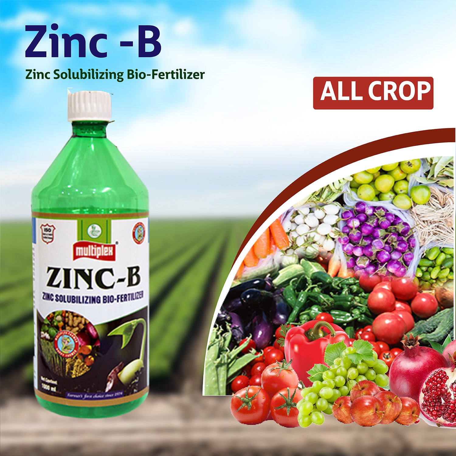 Multiplex Zinc-B (Zinc Solubilizing Bacteria)-Liquid - Agriplex