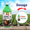 Multiplex Zinc-B (Zinc Solubilizing Bacteria)-Liquid - Agriplex