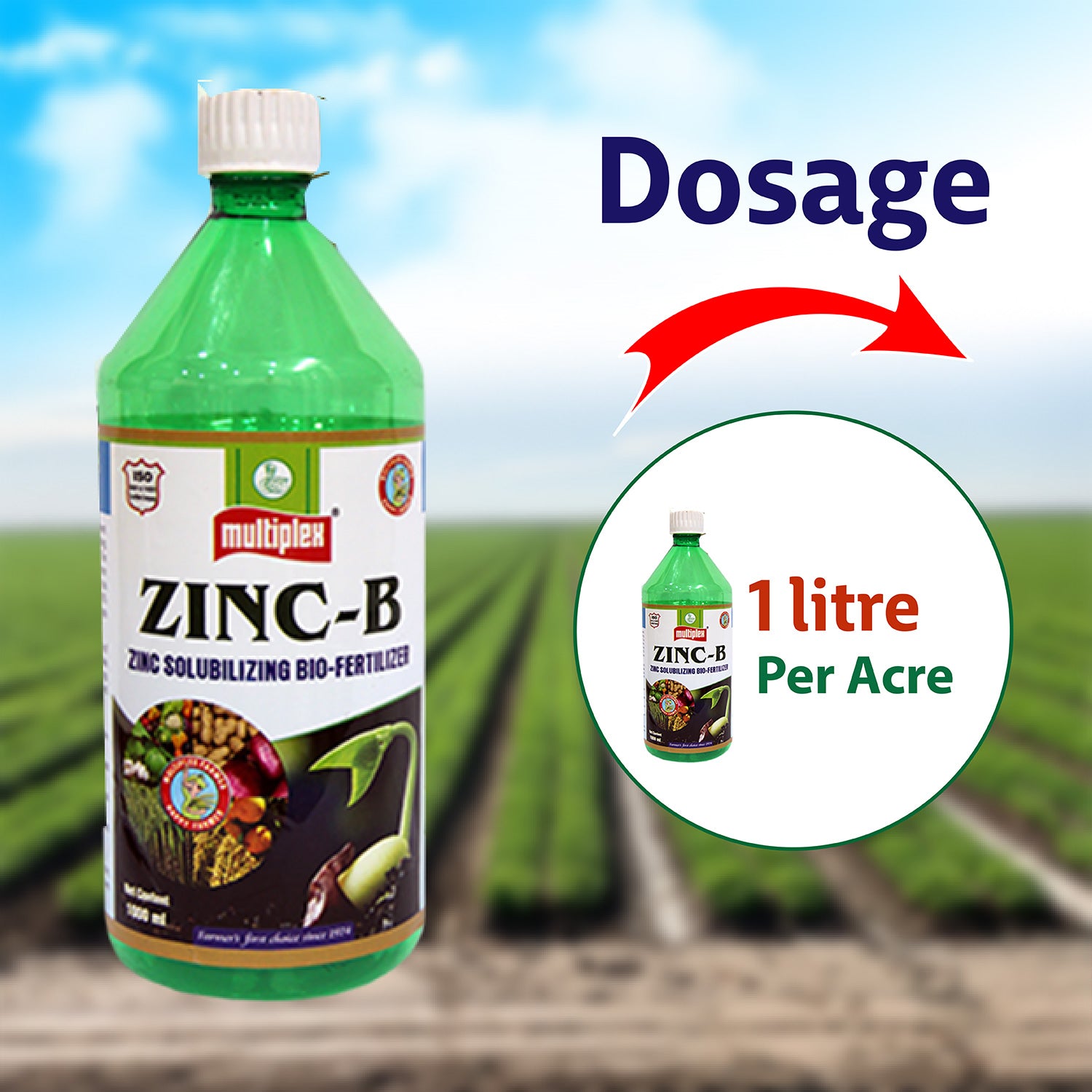 Multiplex Zinc-B (Zinc Solubilizing Bacteria)-Liquid - Agriplex