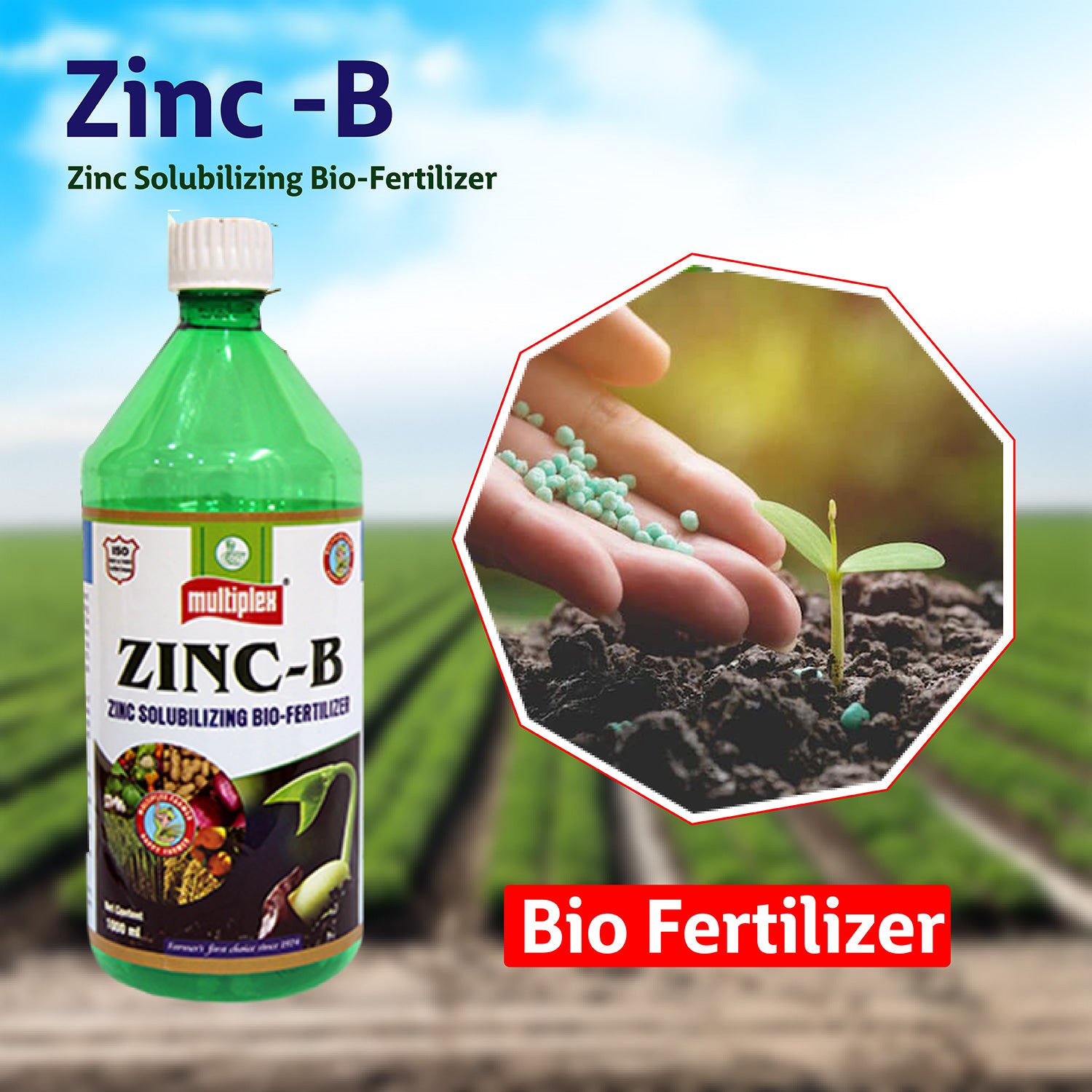Multiplex Zinc-B (Zinc Solubilizing Bacteria)-Liquid - Agriplex