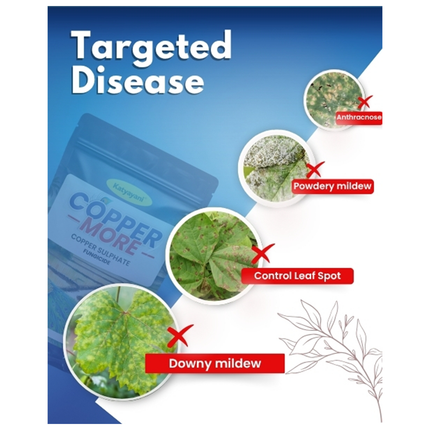 Copper Sulphate | Chemical Fungicide