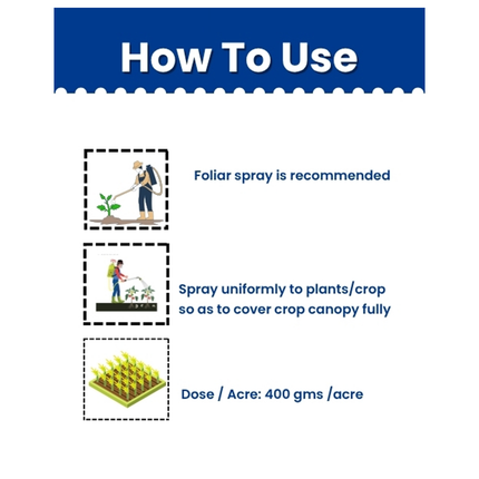 Copper Sulphate | Chemical Fungicide