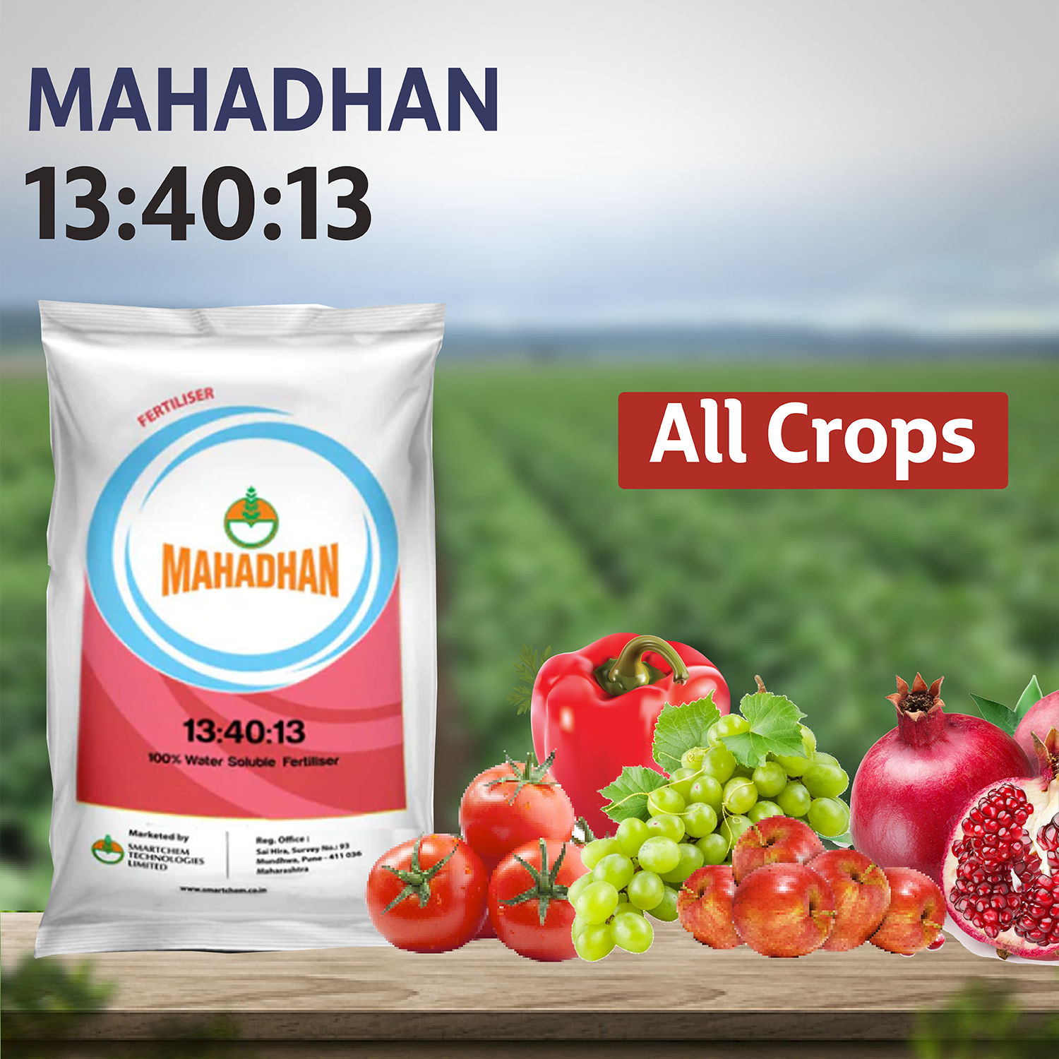 Mahadhan 13:40:13 Fertilizer - 1 KG - Agriplex