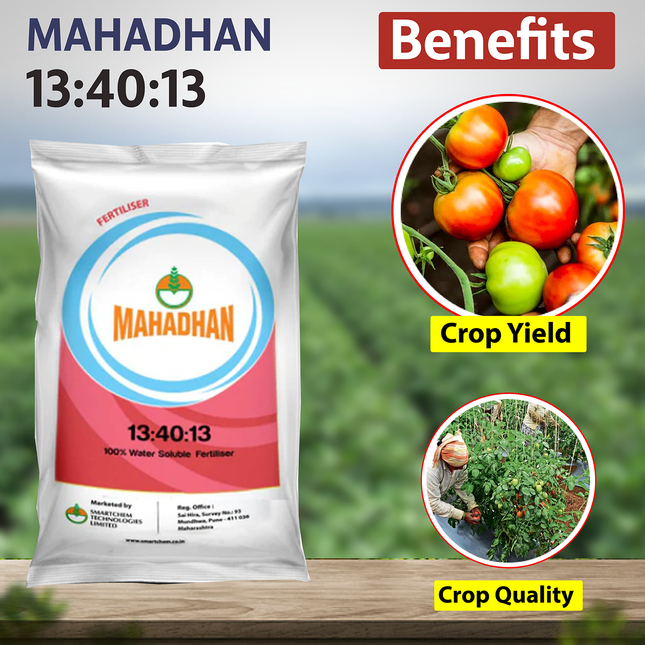 Mahadhan 13:40:13 Fertilizer - 1 KG - Agriplex