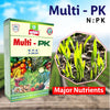 Multiplex Multi Pk (0:52:34) Fertilizer - Agriplex