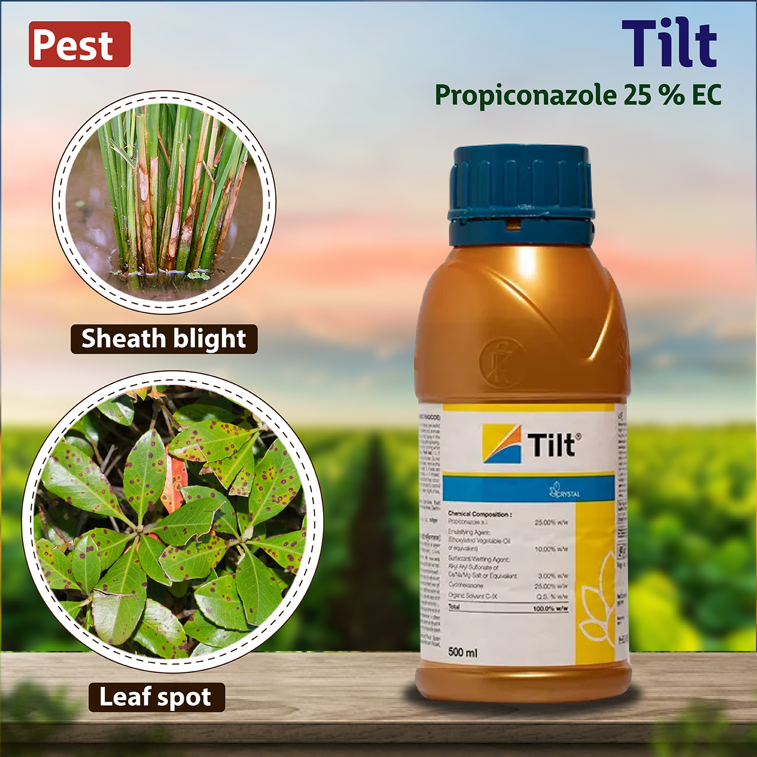 Syngenta Tilt Propiconazole 25 % EC Insecticide - Agriplex