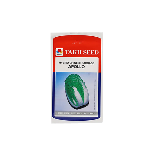 Taki Apollo Chinese Cabbage F1 Seeds - 10 Gm - Agriplex