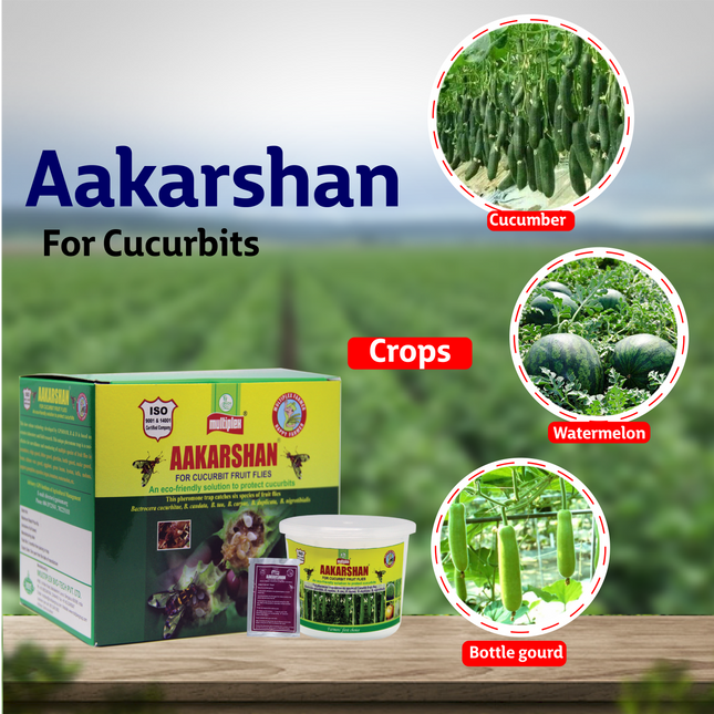 Aakarshan Pheromone Trap for Cucurbits Fruit Flies Crops