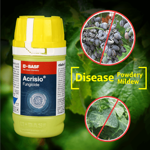 BASF Acrisio Fungicide