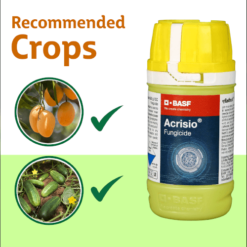 BASF Acrisio Fungicide Crops