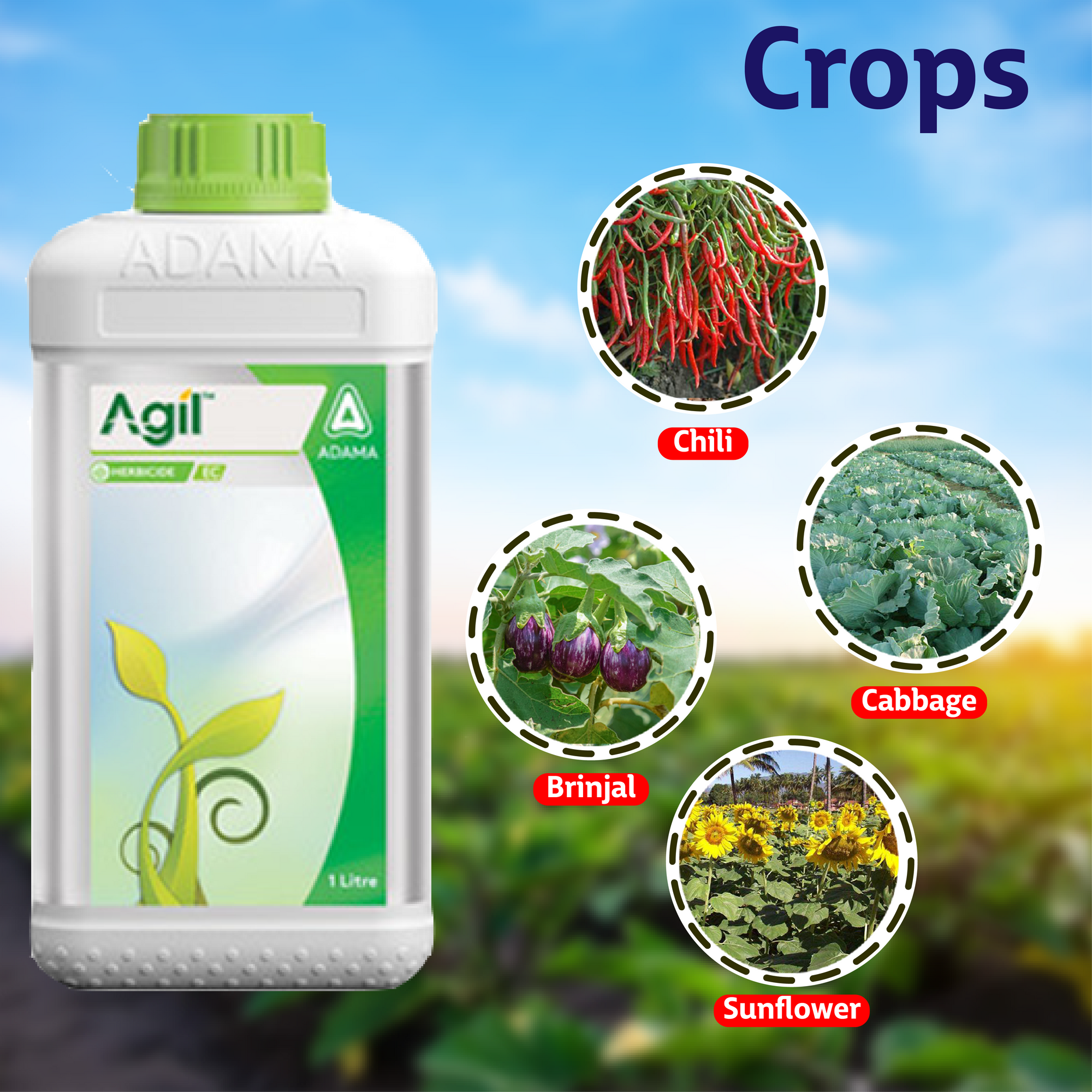 adama herbicide products Adama Agil Herbicide – Agriplex
