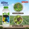 Swal Alito  - 500 ML
