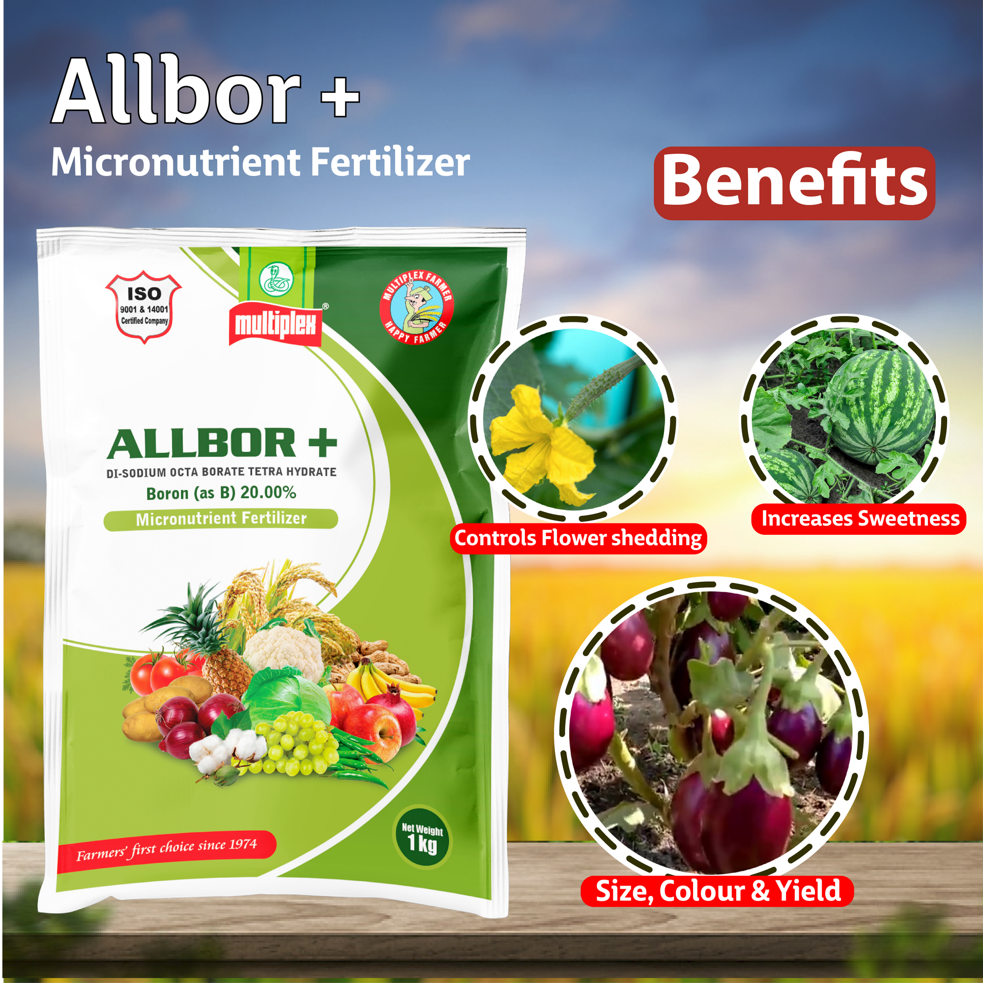 Multiplex Allbor +  (Boron 20%) Benifits