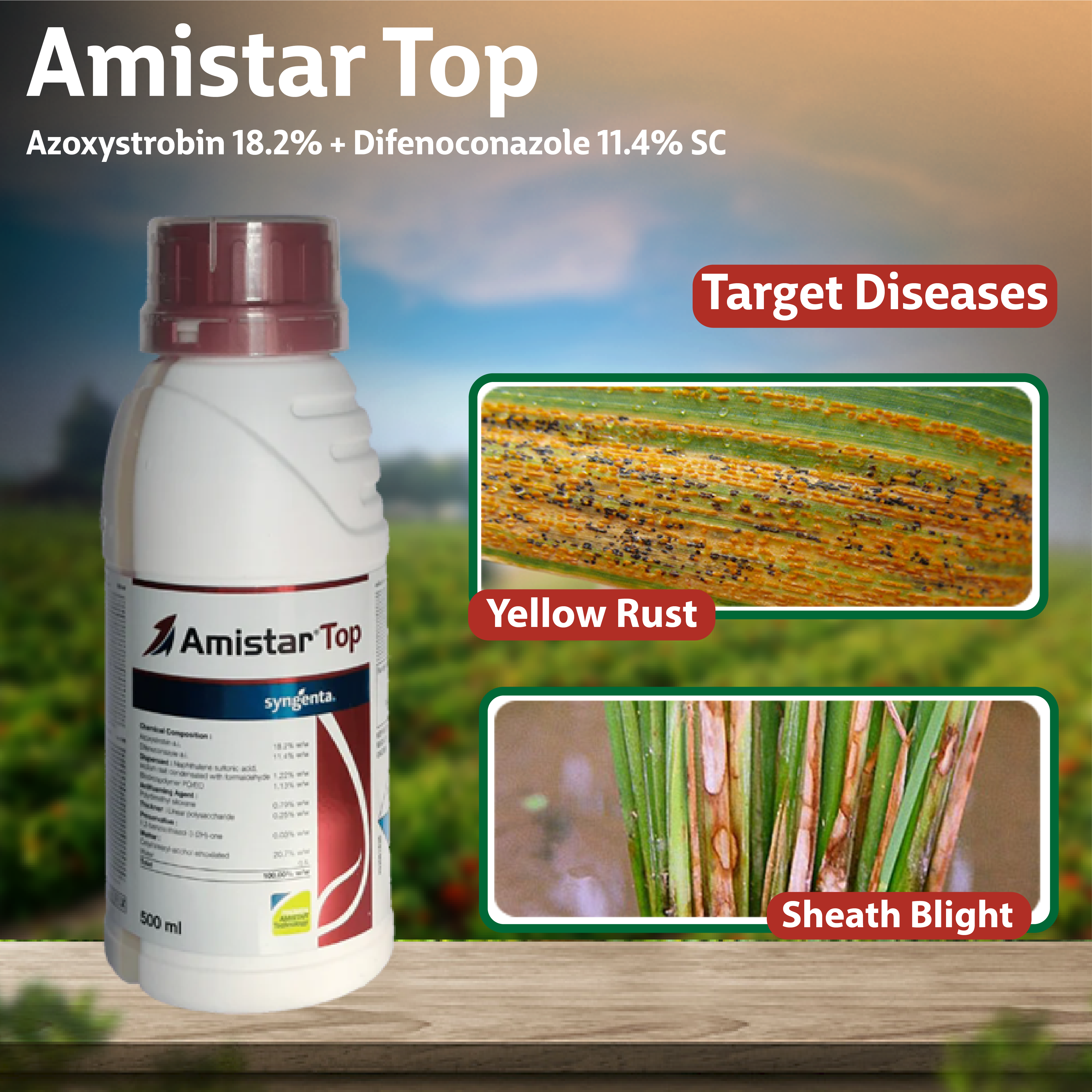 Syngenta Amistar Top Fungicide – Agriplex