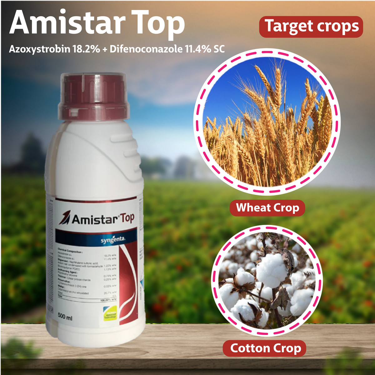 Syngenta Amistar Top Fungicide – Agriplex