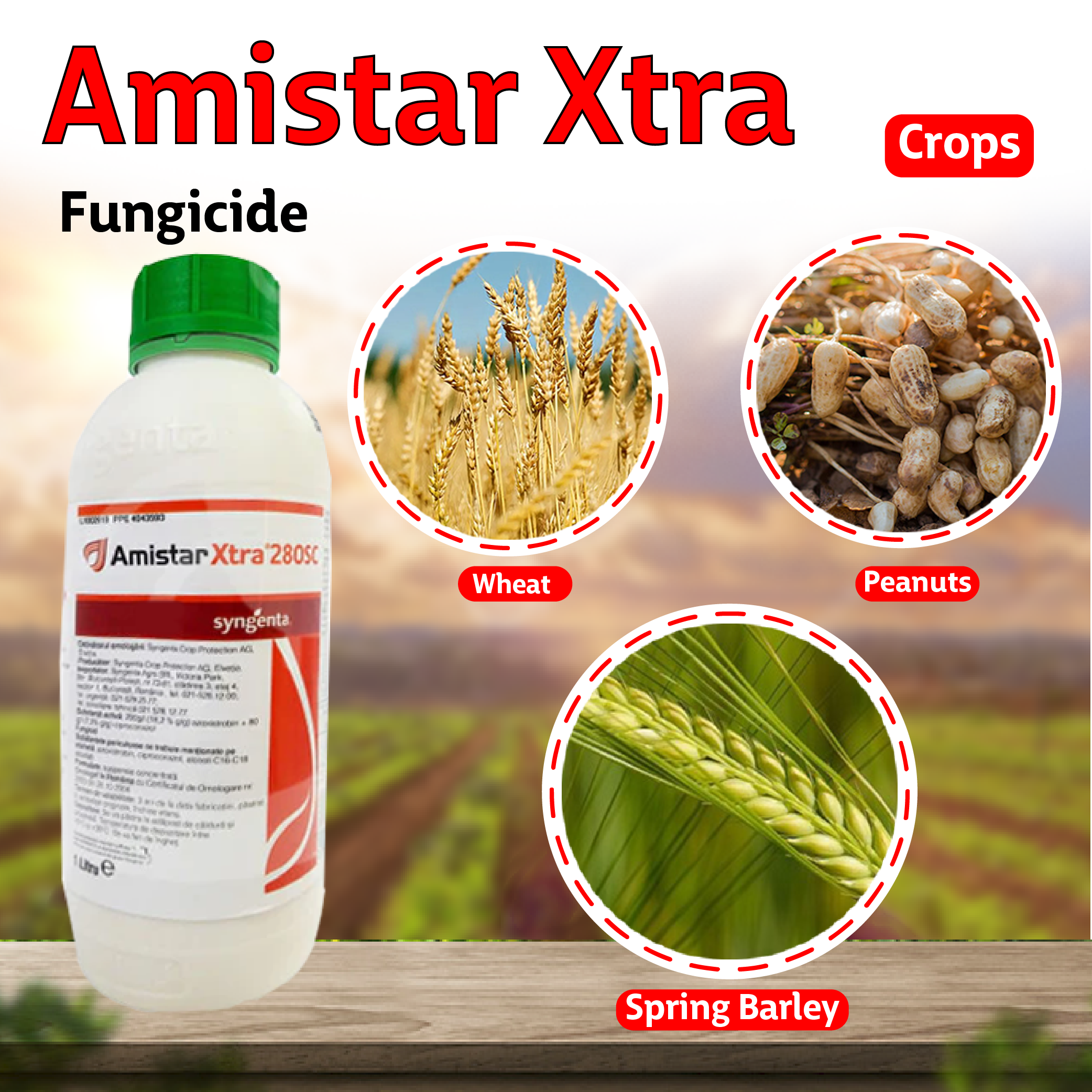 Syngenta Amistar Xtra Fungicide – Agriplex