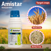 Syngenta Amistar Fungicide Crops