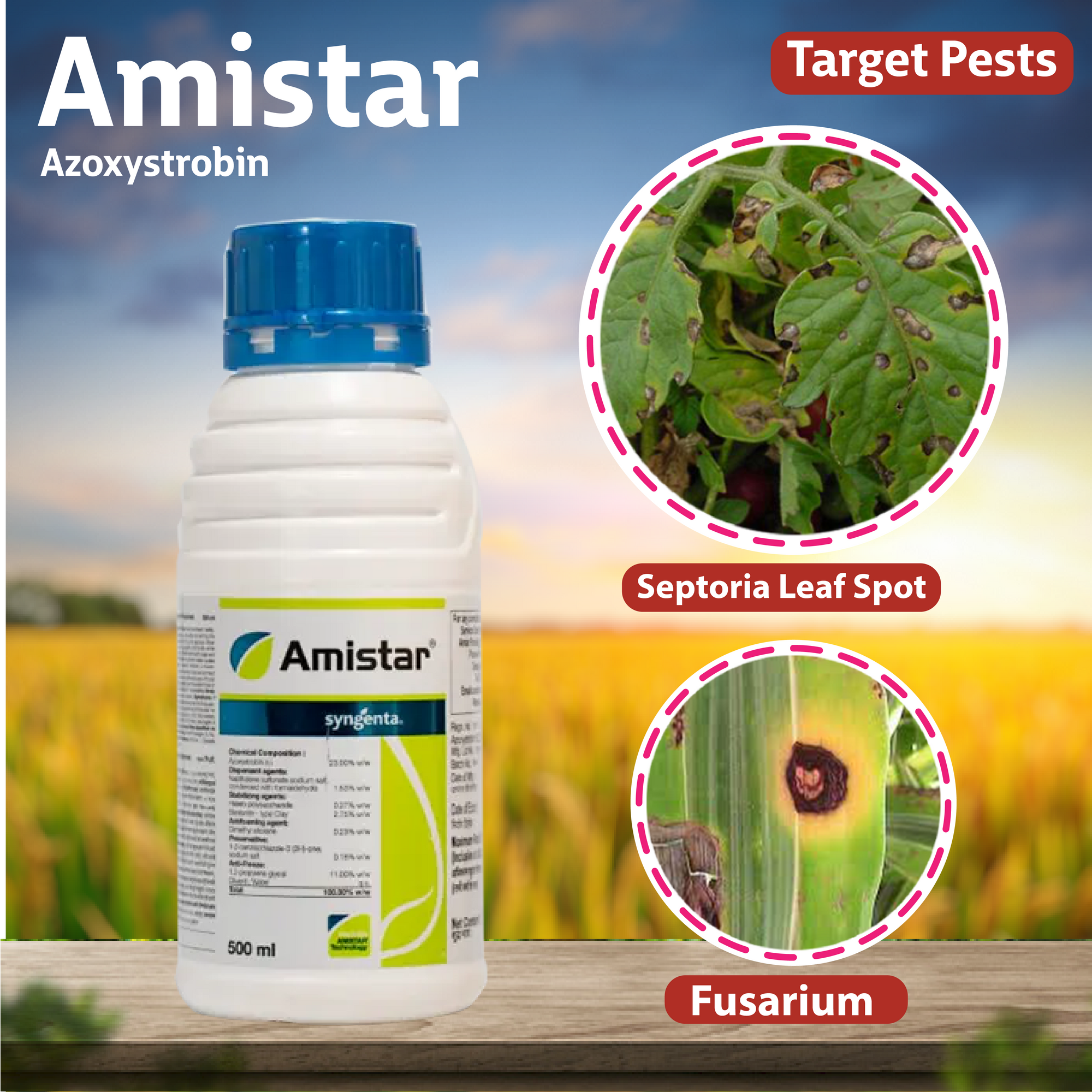 Syngenta Amistar Fungicide