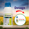 Syngenta Amistar Fungicide Dosage