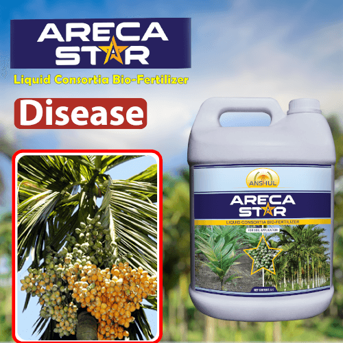 areca plant fertilizer Anshul Areca Star (Liquid Fertilizer for Arecanut) – Agriplex