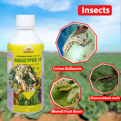 Anshul Ansucyper (Cypermethrin 10 % EC) Insecticide