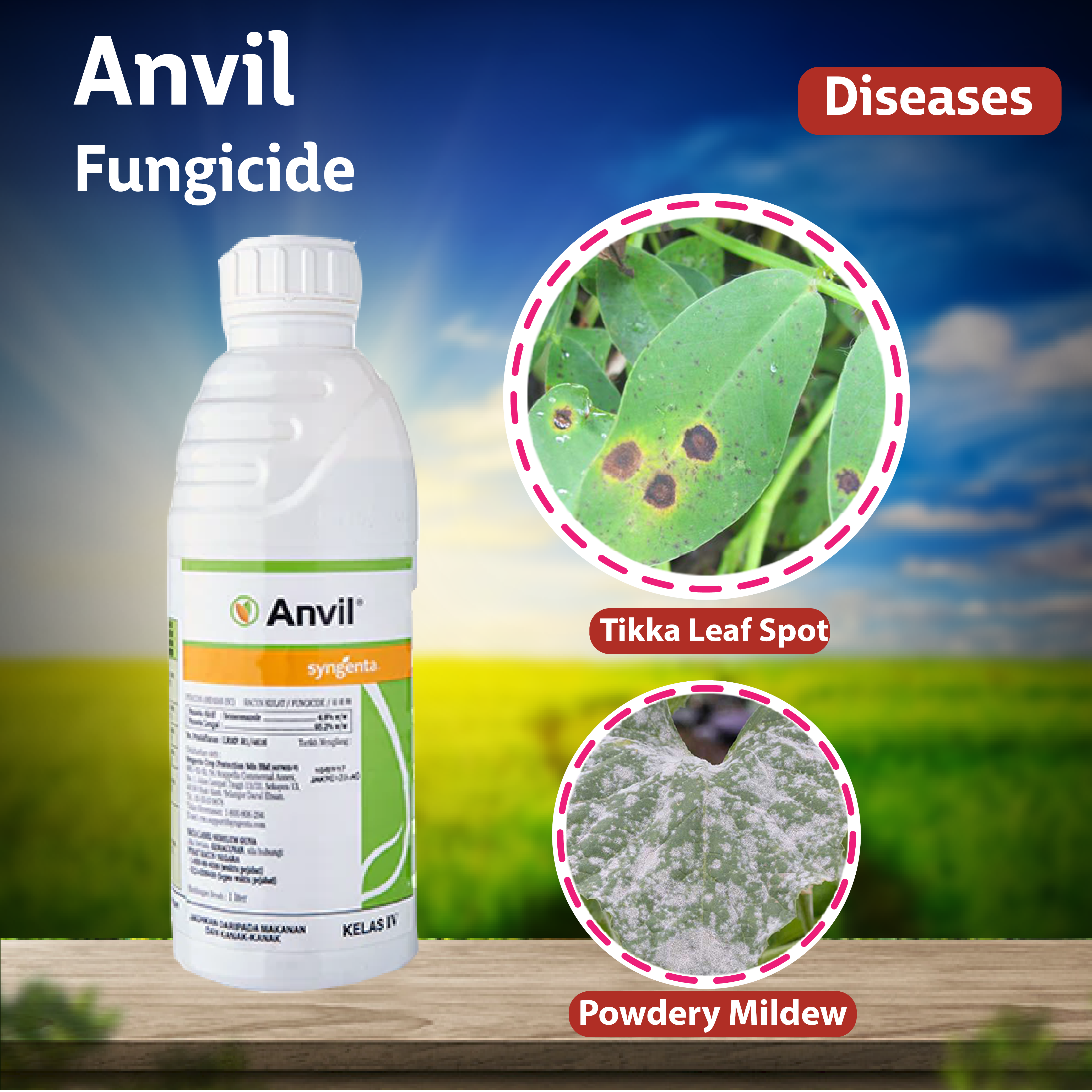 Syngenta Anvil Fungicide – Agriplex