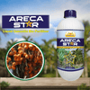 Anshul Areca Star (Liquid Fertilizer for Arecanut)