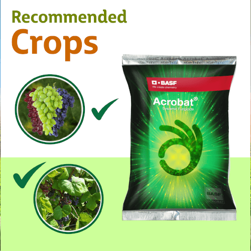 BASF Acrobat Fungicide Crops