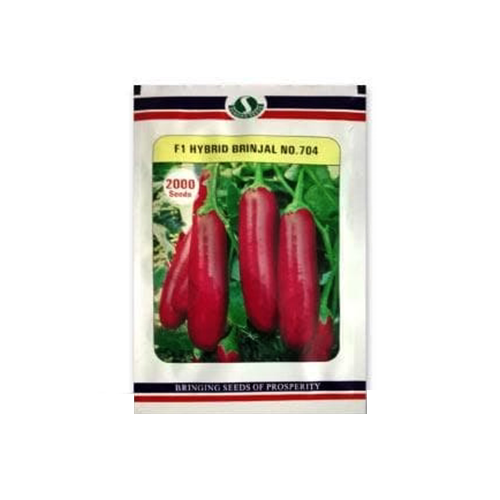 SUNGRO Brinjal No. 704 Seeds - 2000 SEEDS - Agriplex