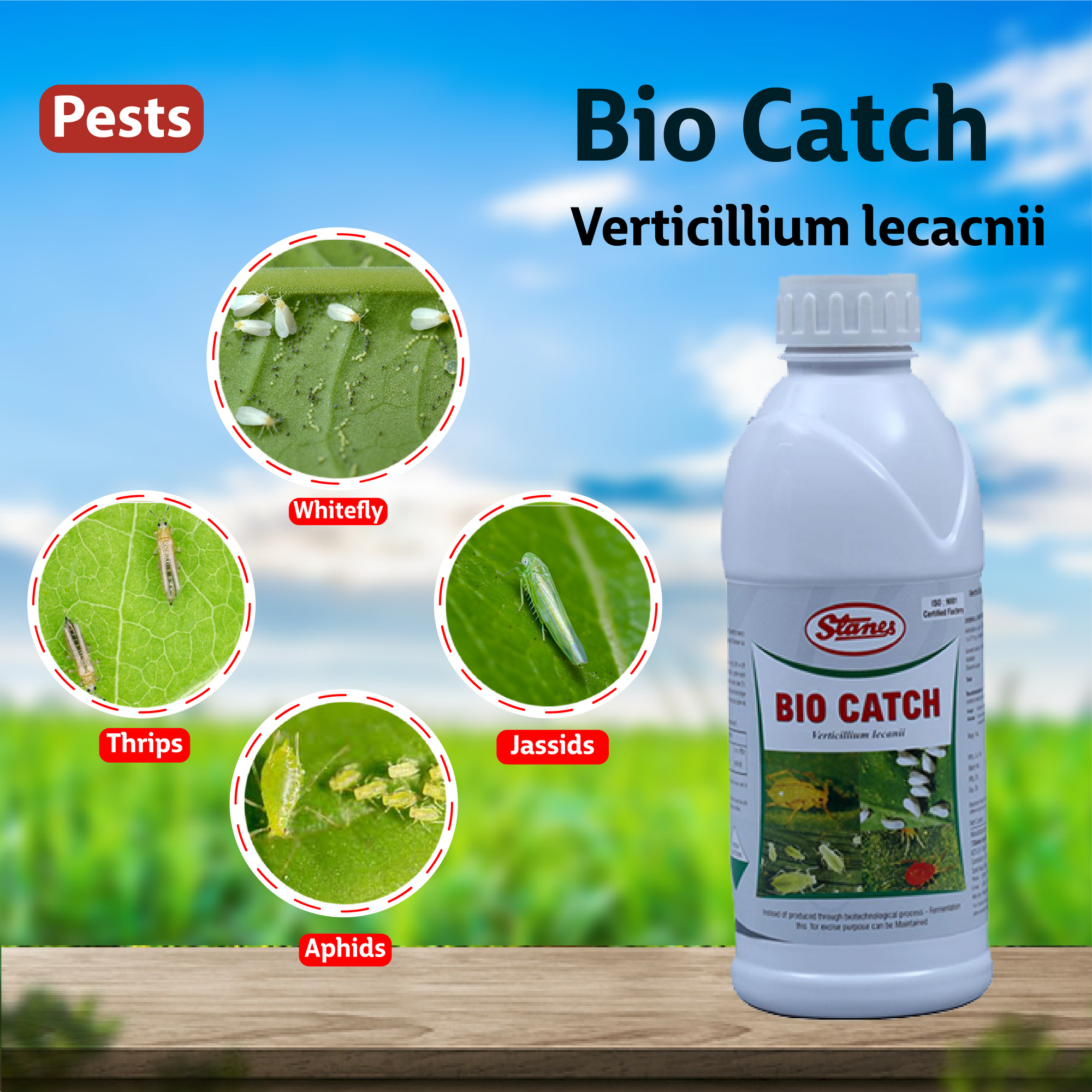 T Stanes Bio Catch Pesticide Pests