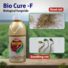 T Stanes Bio Cure -F  Diseases
