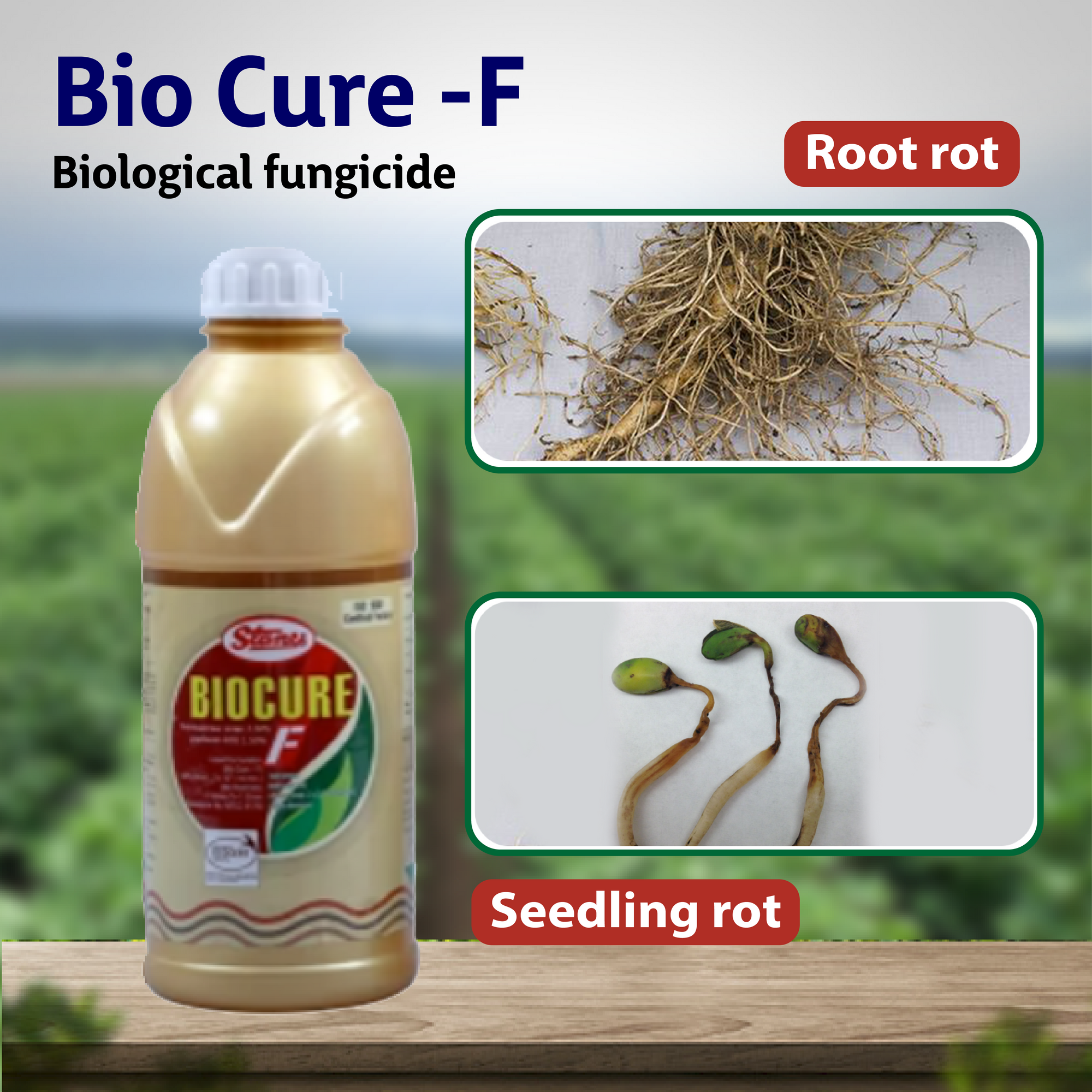 T Stanes Bio Cure -F  Diseases