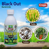Multiplex Black Out Bactericide  Crops