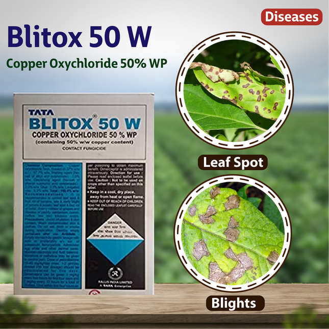 Tata Blitox Fungicide - 500 GM - Agriplex