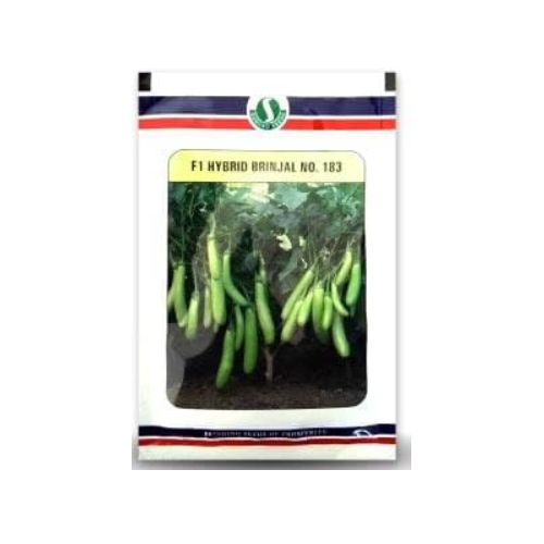 Mahyco Brinjal 183 Seeds - 10 GM