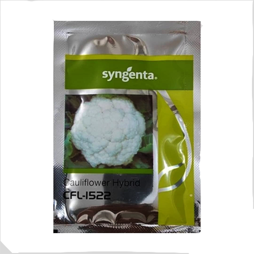 Syngenta 1522 Cfl Cauliflower Seeds