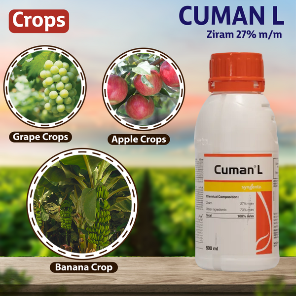 Syngenta Cuman Fungicide Crops