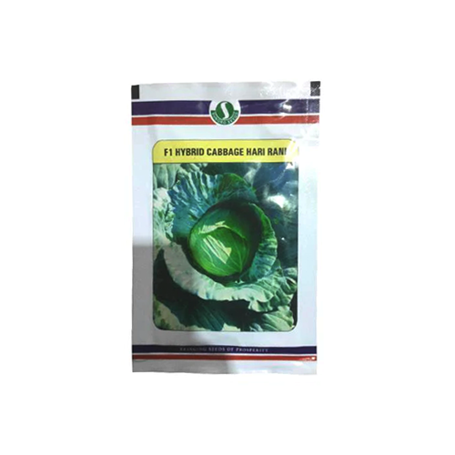 SUNGRO Hari Rani Cabbage Seeds - 10 GM - Agriplex