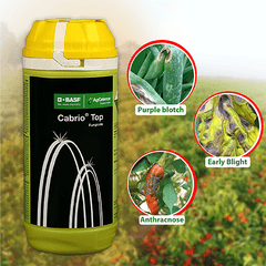 BASF Cabrio Top Fungicide
