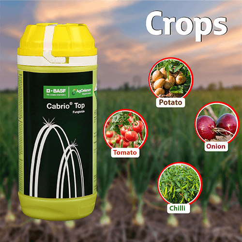 BASF Cabrio Top Fungicide Crops